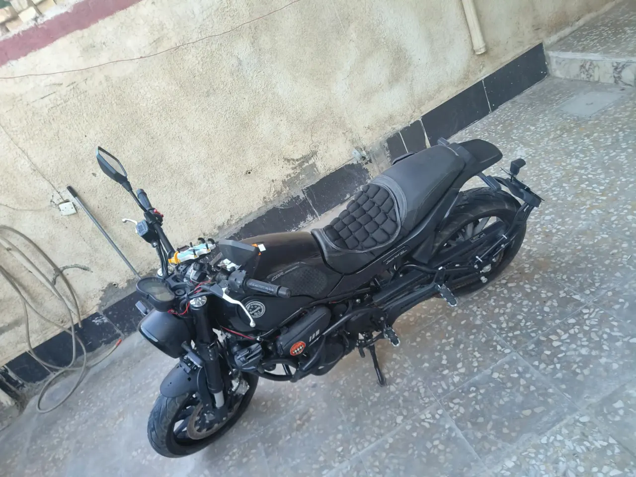 بينيلي ليونشينو 500 8