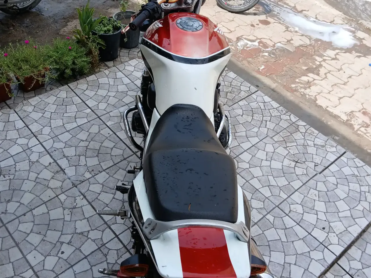 هوندا CB 400 سوبر فور (NC31) 2